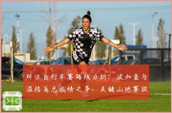 环法自行车赛路线分析：波加查与温格高总成绩之争，关键山地赛段成胜负手。