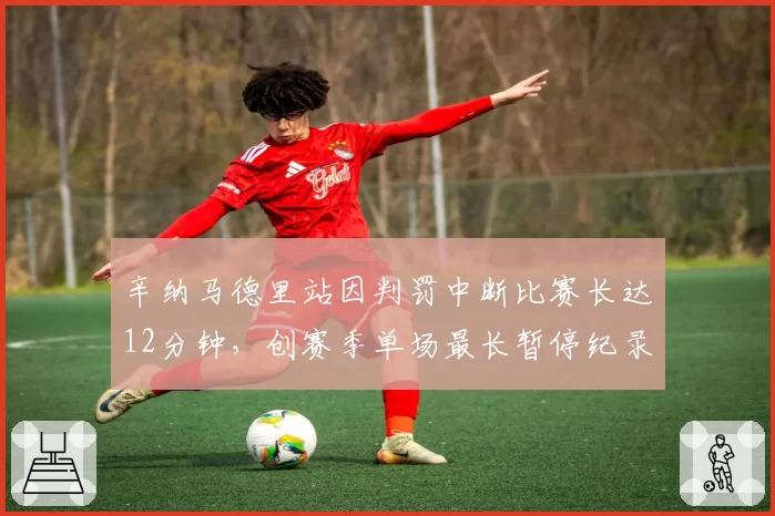 辛纳马德里站因判罚中断比赛长达12分钟，创赛季单场最长暂停纪录
