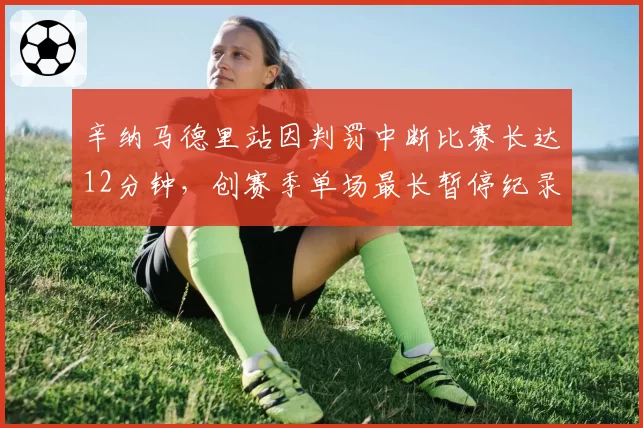 辛纳马德里站因判罚中断比赛长达12分钟，创赛季单场最长暂停纪录