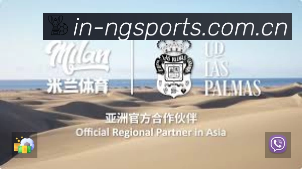 NG体育APP界面展示
